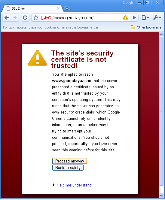 https_warning_google_chrome.PNG