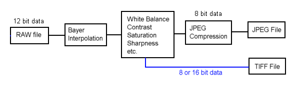 Flowchart2.gif
