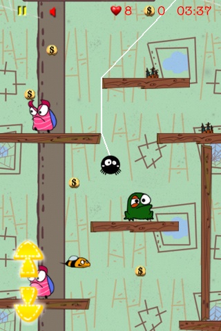 spider3.jpg