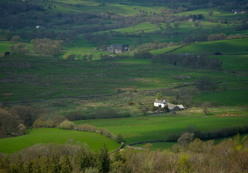 farm3l.jpg