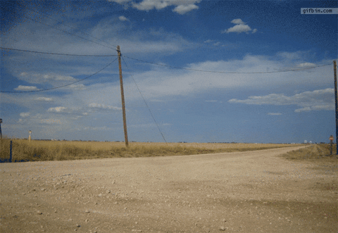 giphy.gif