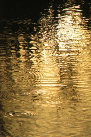 2630804066_473022c93a_o.jpg