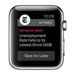 NYTimes-Apple-Watch-250x246.png