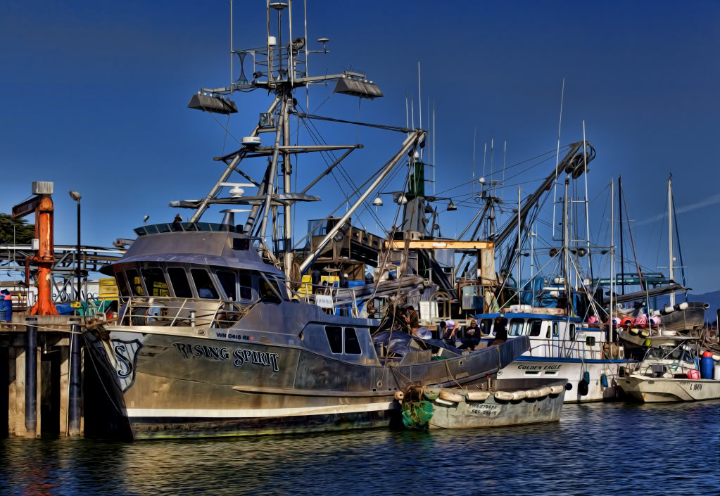 mosslanding2012_006.jpg