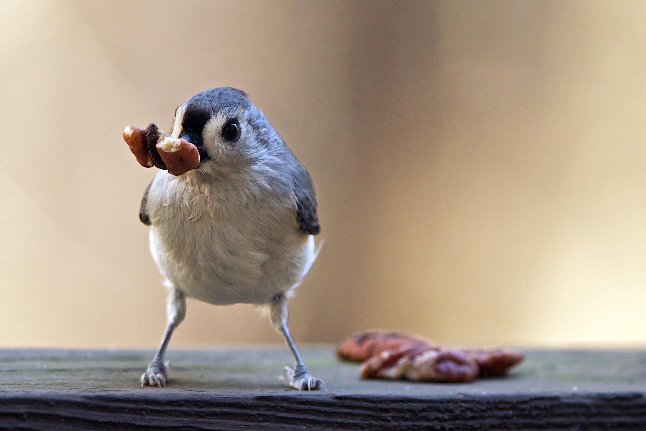 snacktime.jpg