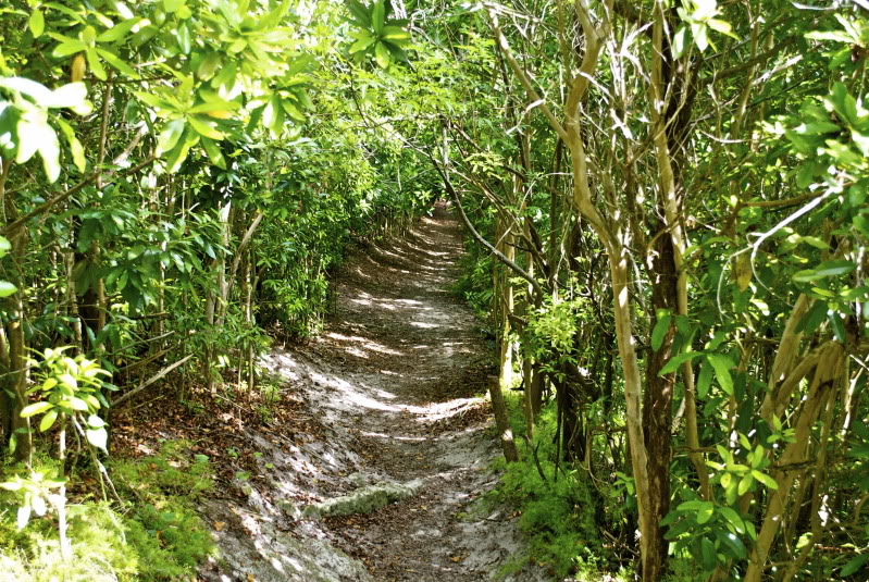 DSC_0009.jpg
