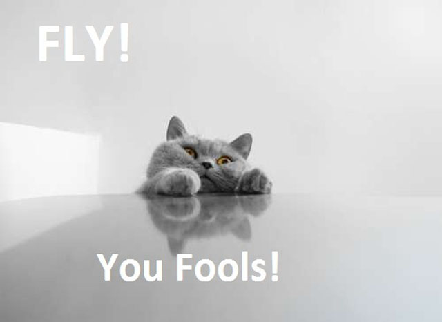 FLY-YOU-FOOLS-6.jpg