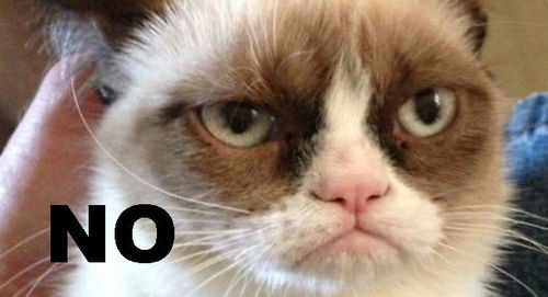 grumpy-cat-says-no.jpg