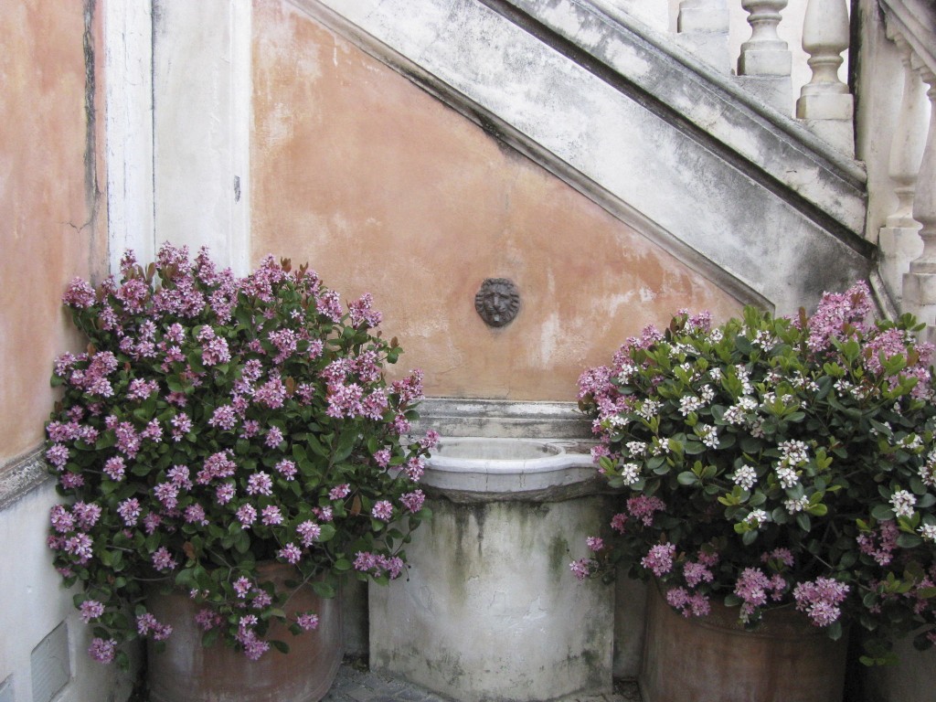 img0401kf.jpg