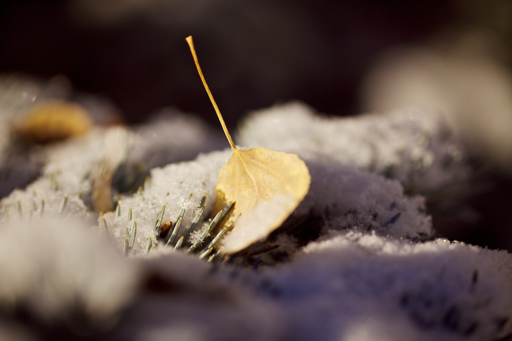 newmacro206020111119101.jpg