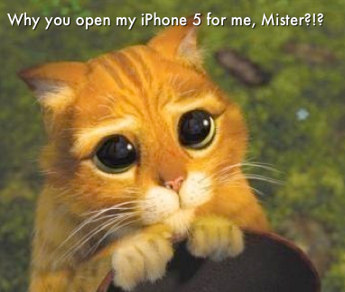 screenshot20120922at172.png