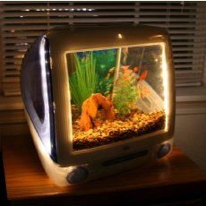 Apple-iMac-Aquariums_A2AFEF3E.jpg