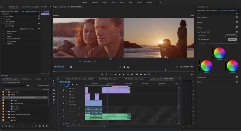 premiereprocolormatch-800x435.jpg