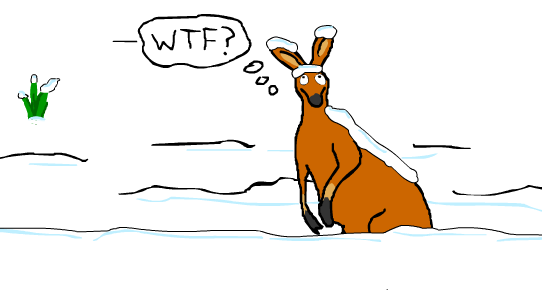 IKR%2B_c5073d71886b9581c4109d27ca4e186a.png