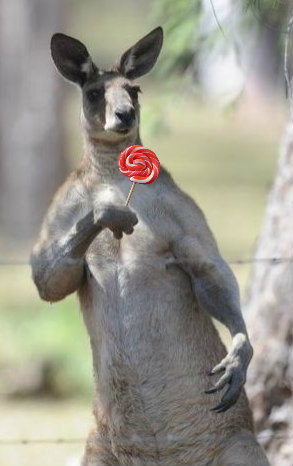 1Gsee.jpg