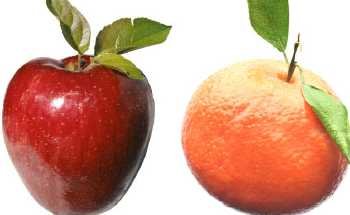 APPLE%20-%20ORANGE.JPG