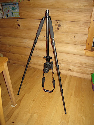 IMG_5594.jpg