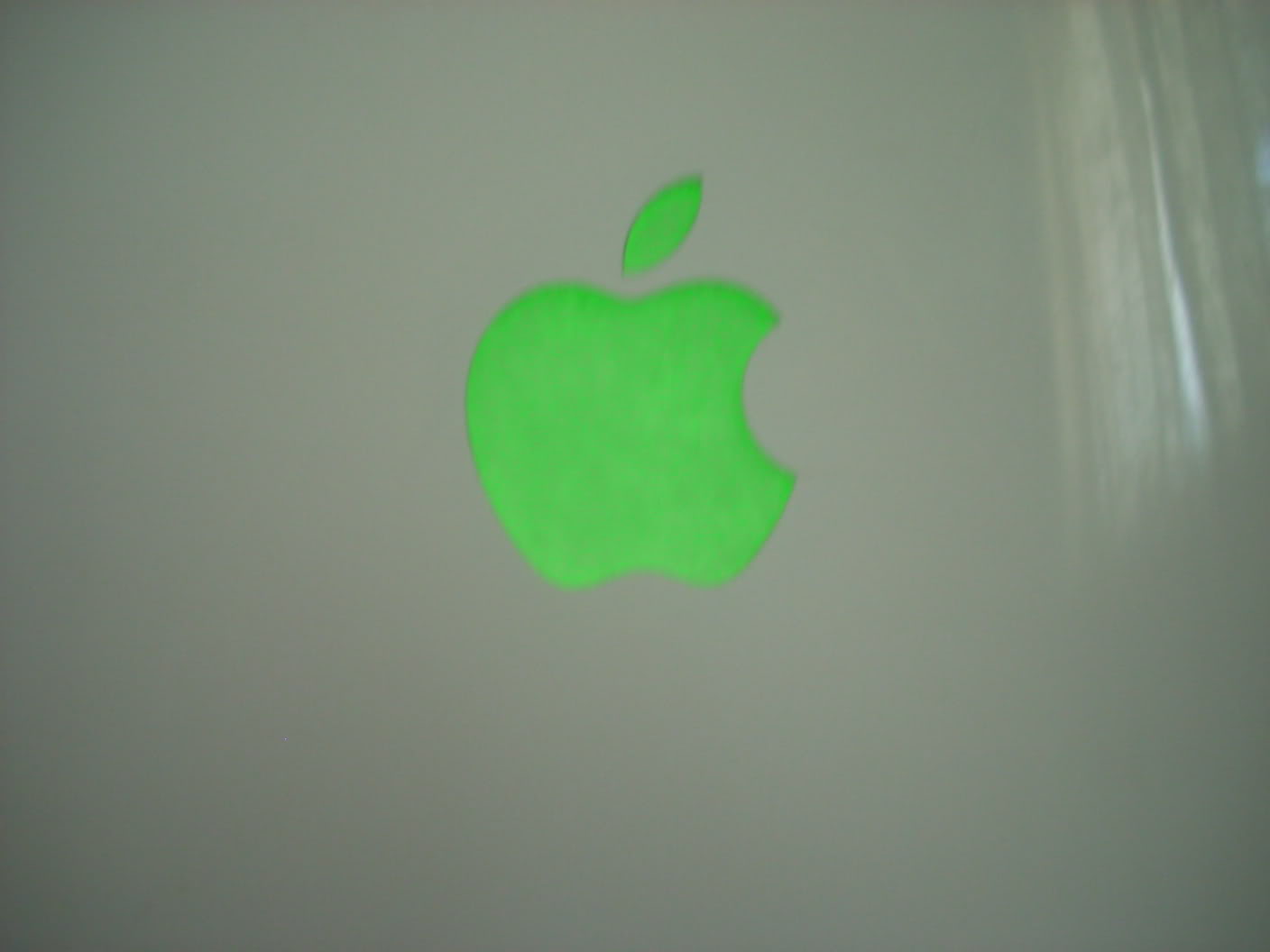 DSCN2428.jpg