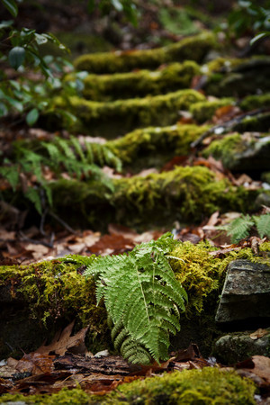 IMG0466-Edit-2-M.jpg