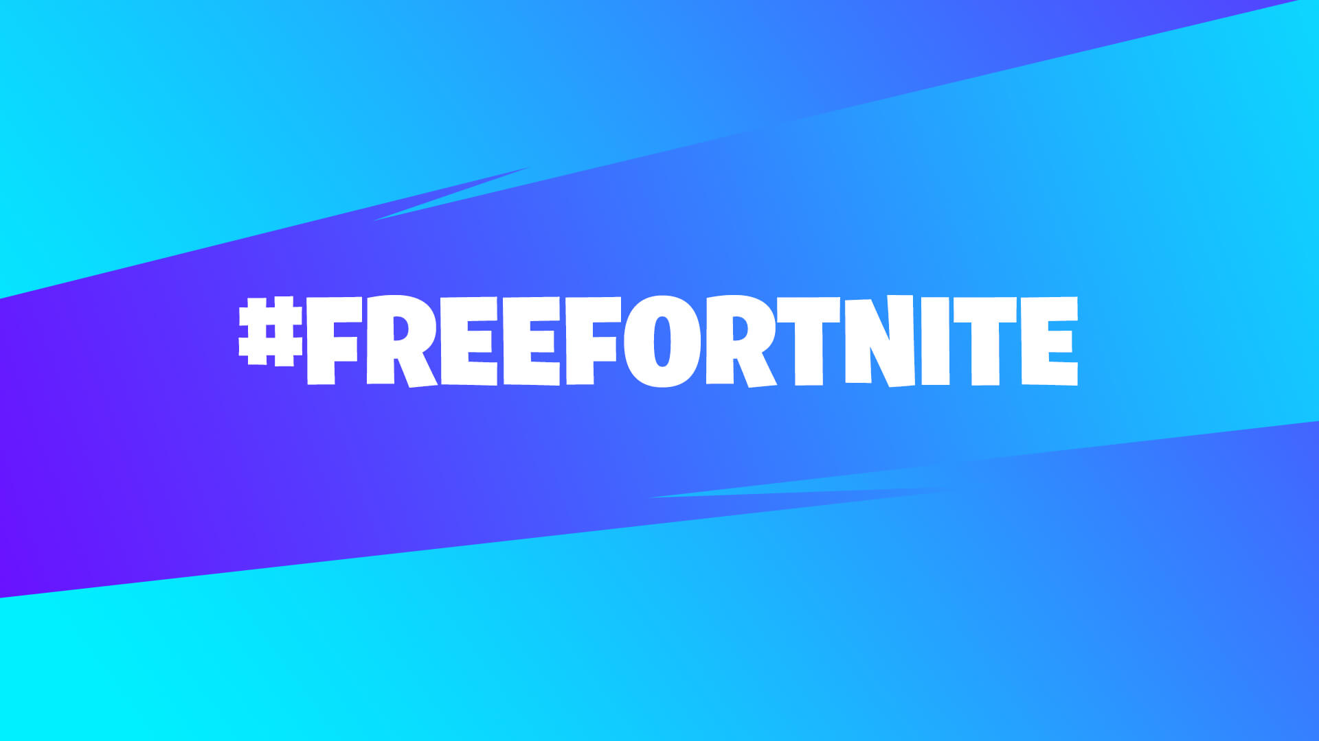 www.epicgames.com
