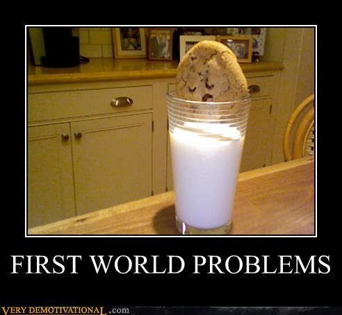 demotivational-posters-first-world-problems.jpg