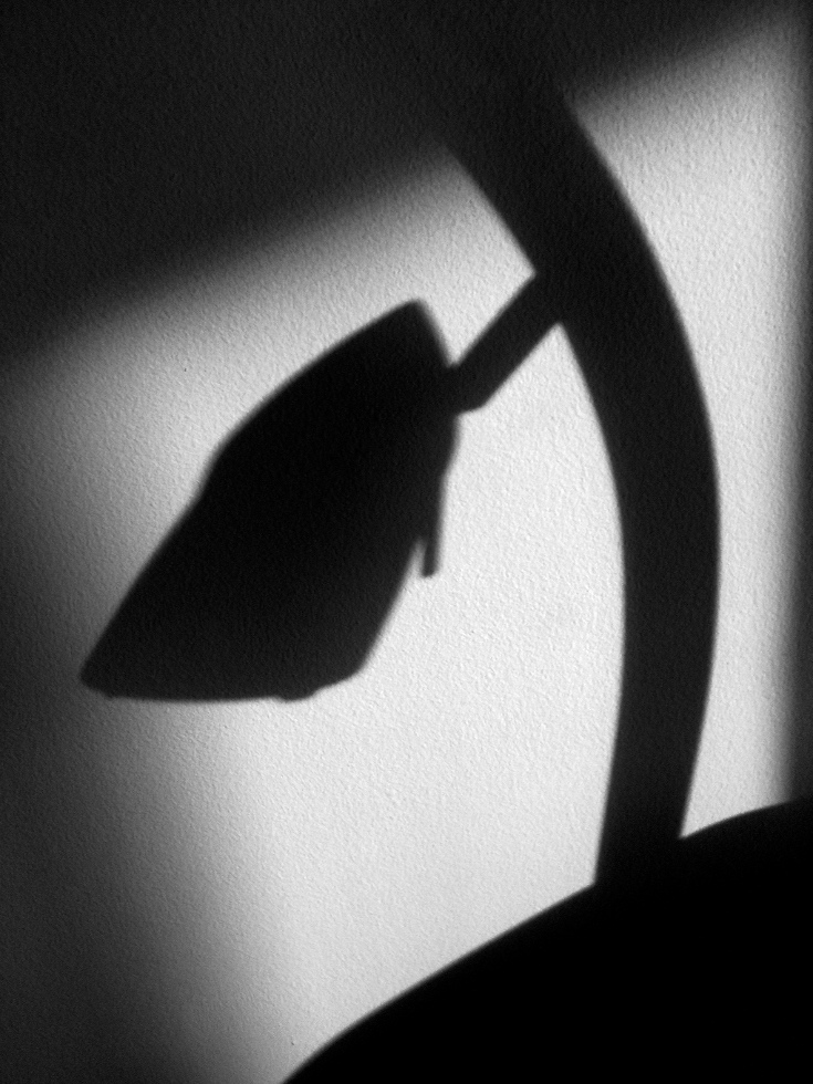 p226877507.jpg