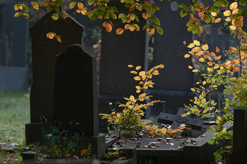 kerkhof0047.jpg