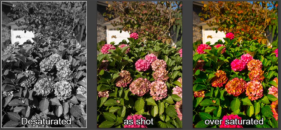 comparingsaturation.jpg