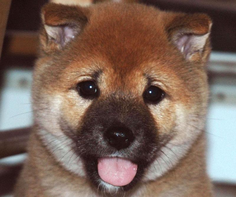 kiko.jpg