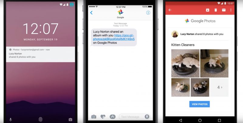 Screen-Shot-1-1-800x405.jpg