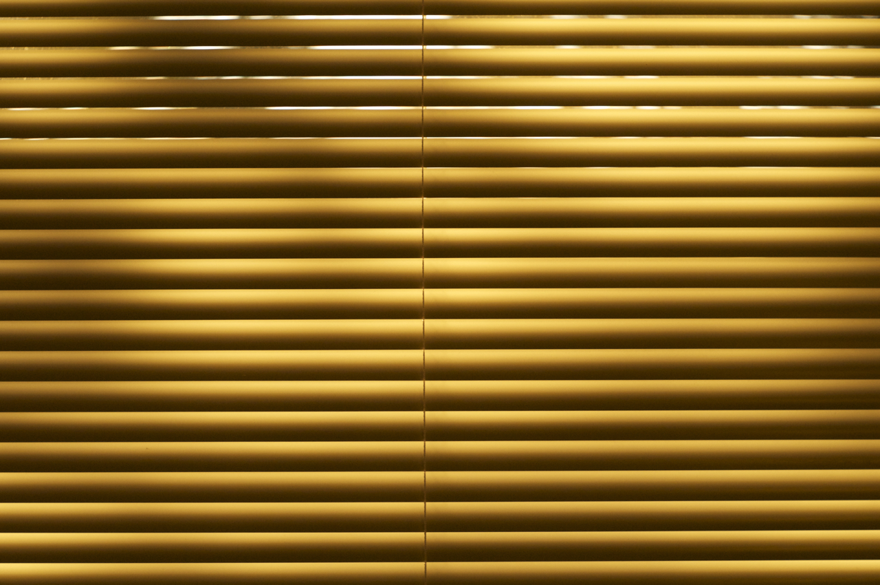 venetiannov2010.jpg