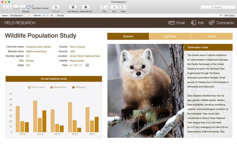 filemaker2-800x488.jpg