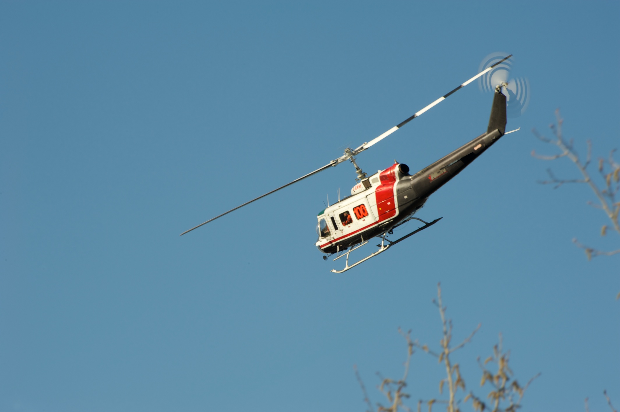 bjm7501.jpg