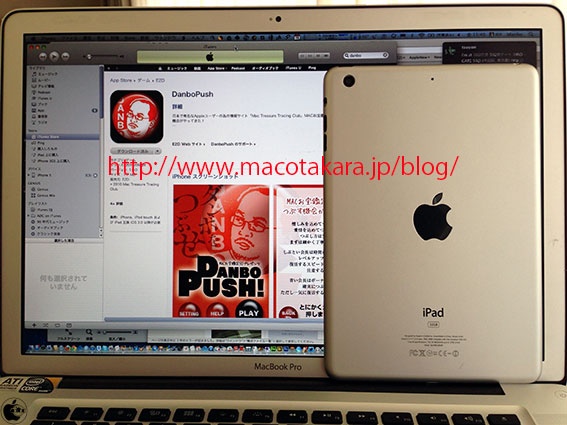 ipadmini.jpg