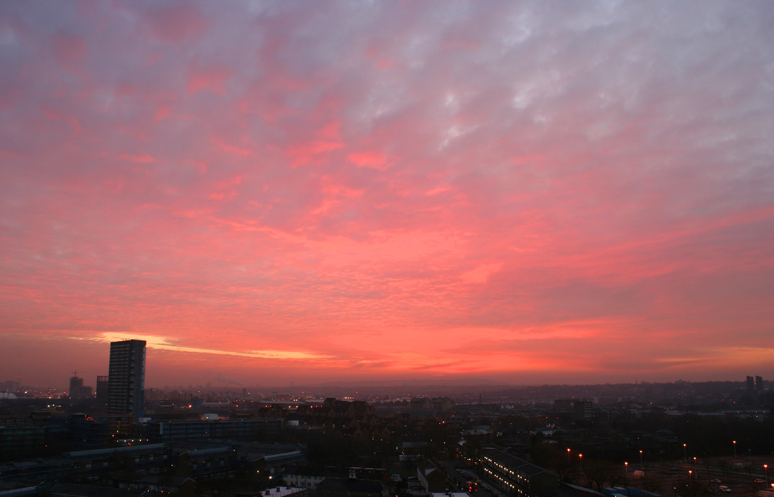 19Jan2011sr2e.jpg