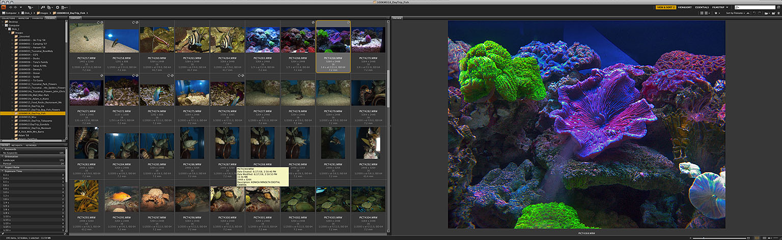 Adobe_Bridge_CS4Snapz_001.jpg