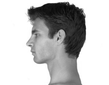head_neck_1.jpg