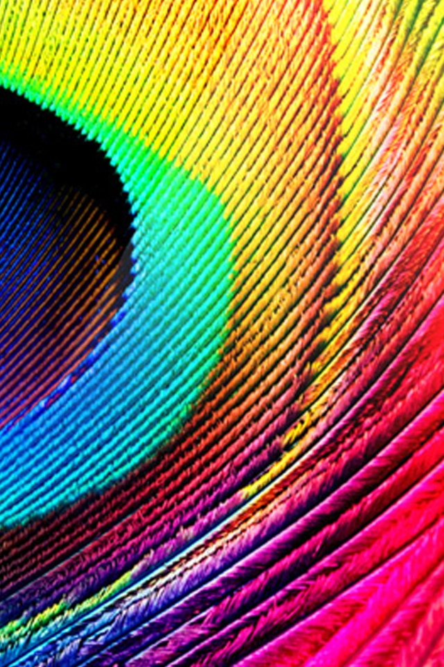 4751854028_1ce4f1591d_b.jpg