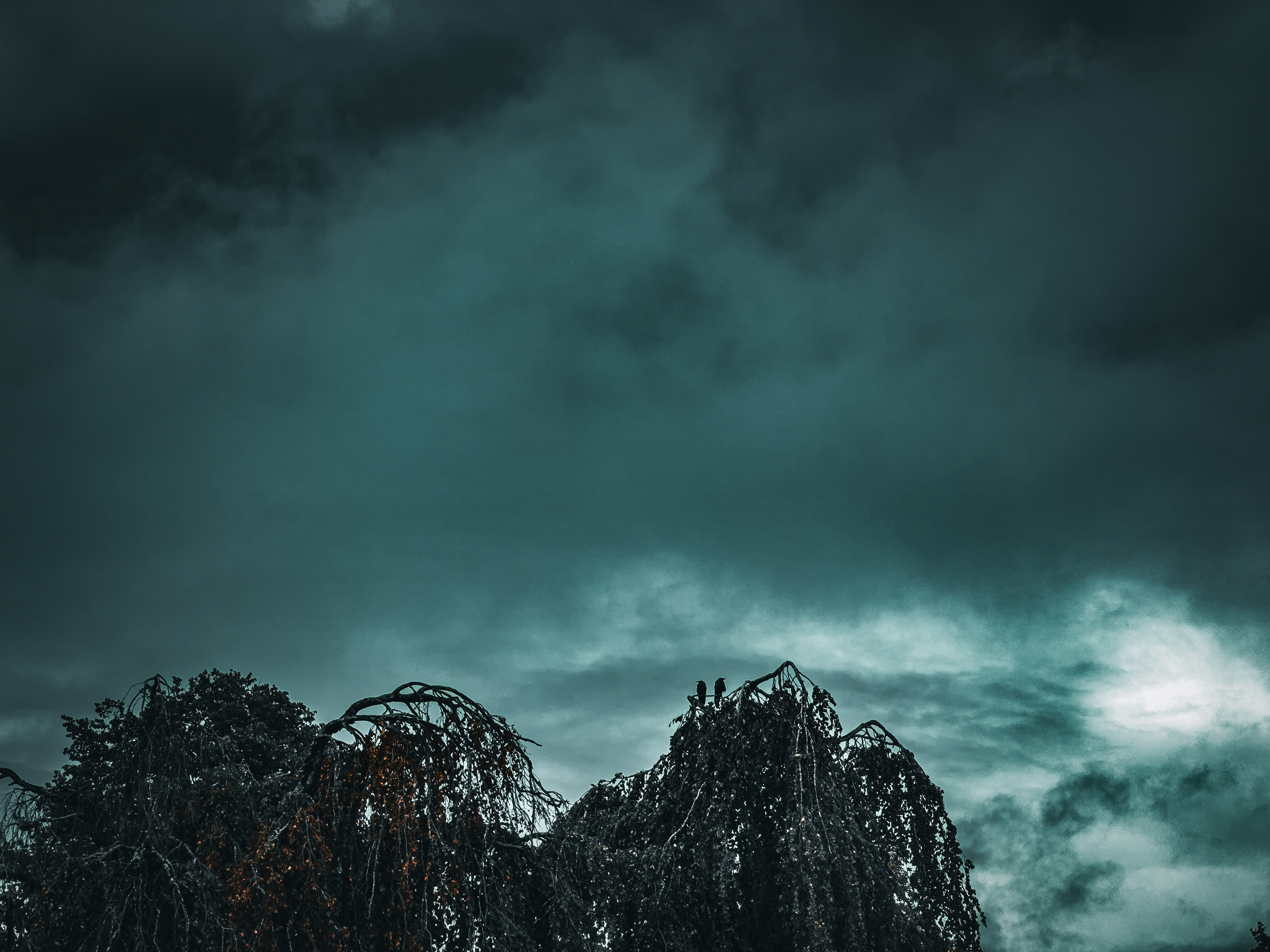 400193d8a351308e2be9a92d8b3d5cc5.jpg