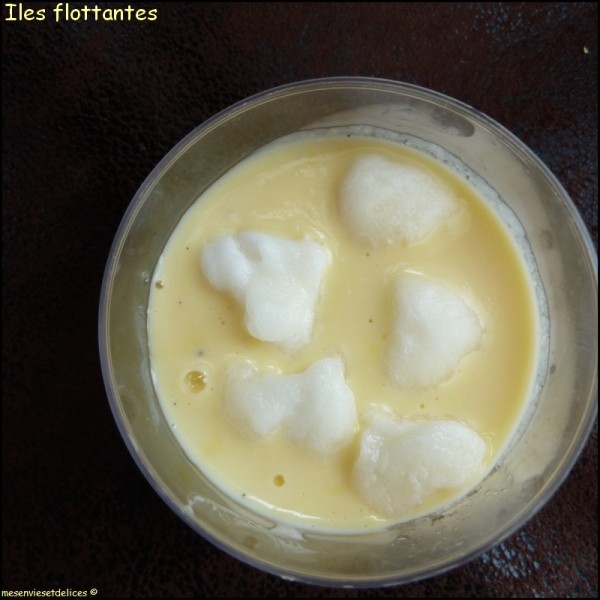 iles-flottantes.jpg