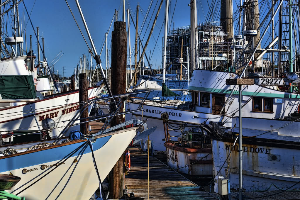 mosslanding2012_0011.jpg