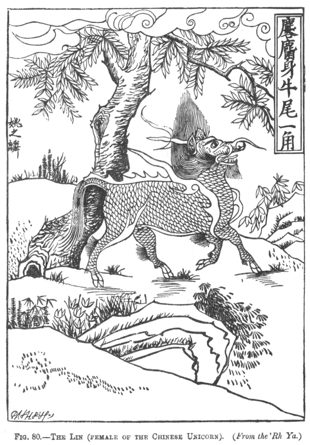fig80.jpg