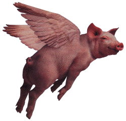 pig1.gif
