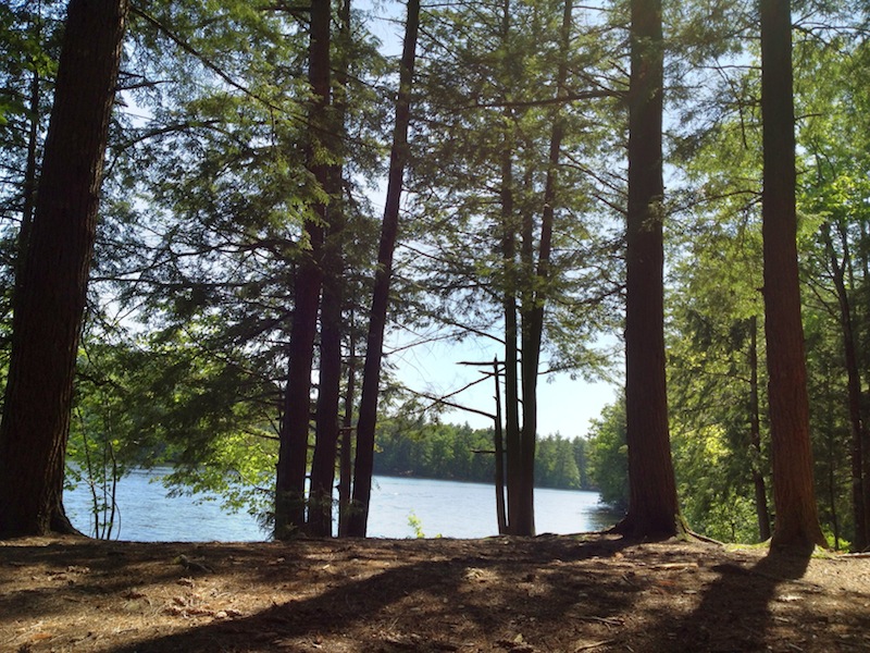 prohdr.jpg