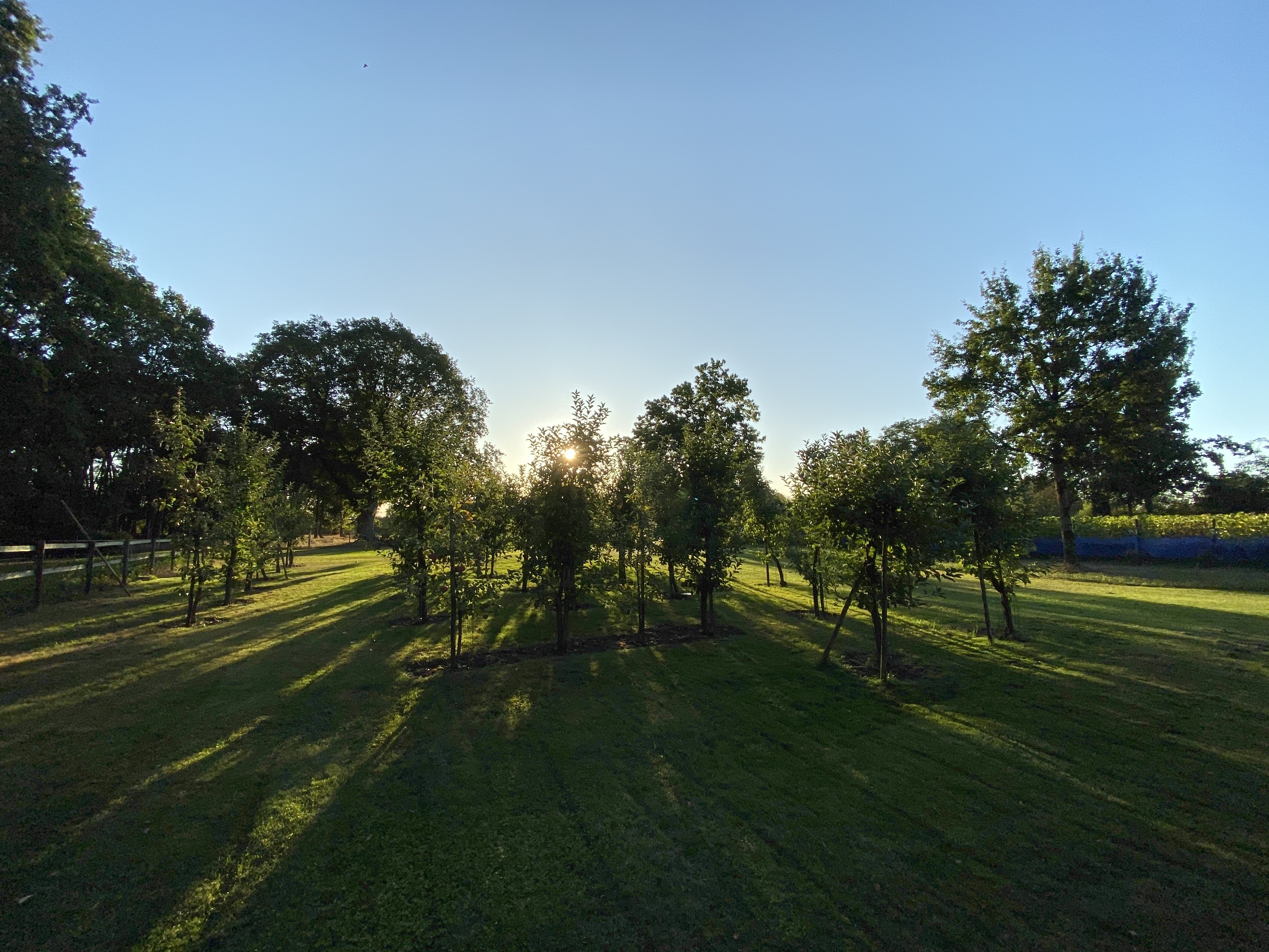 IMG-0029.jpg