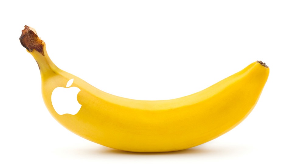 INRFBA1.jpg