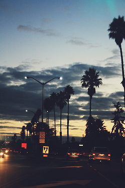 79c8463fa52c5c5448eeb7667106555c.png
