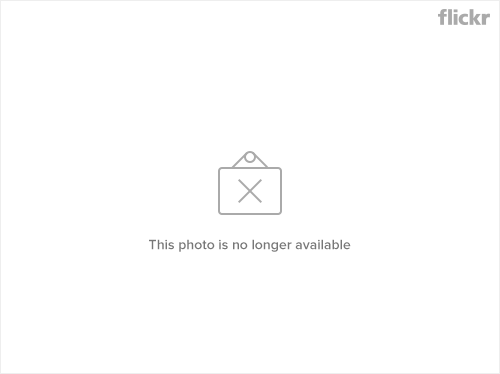 1357430060_71ef57f3b5_b.jpg