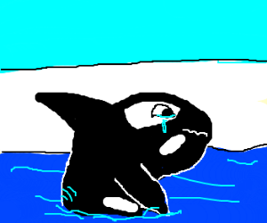 myMMWSrpjx-8.png