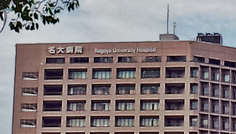20120906_160349_100.jpg